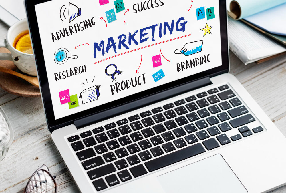 Digital Marketing Agency in Goa